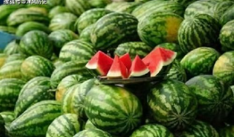 黑料吃瓜网回家路,回家路上的那些秘密与真相