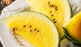 629吃瓜网分享,带你领略网络八卦的魅力