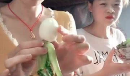 美女网红吃瓜,吃瓜现场，笑料百出！